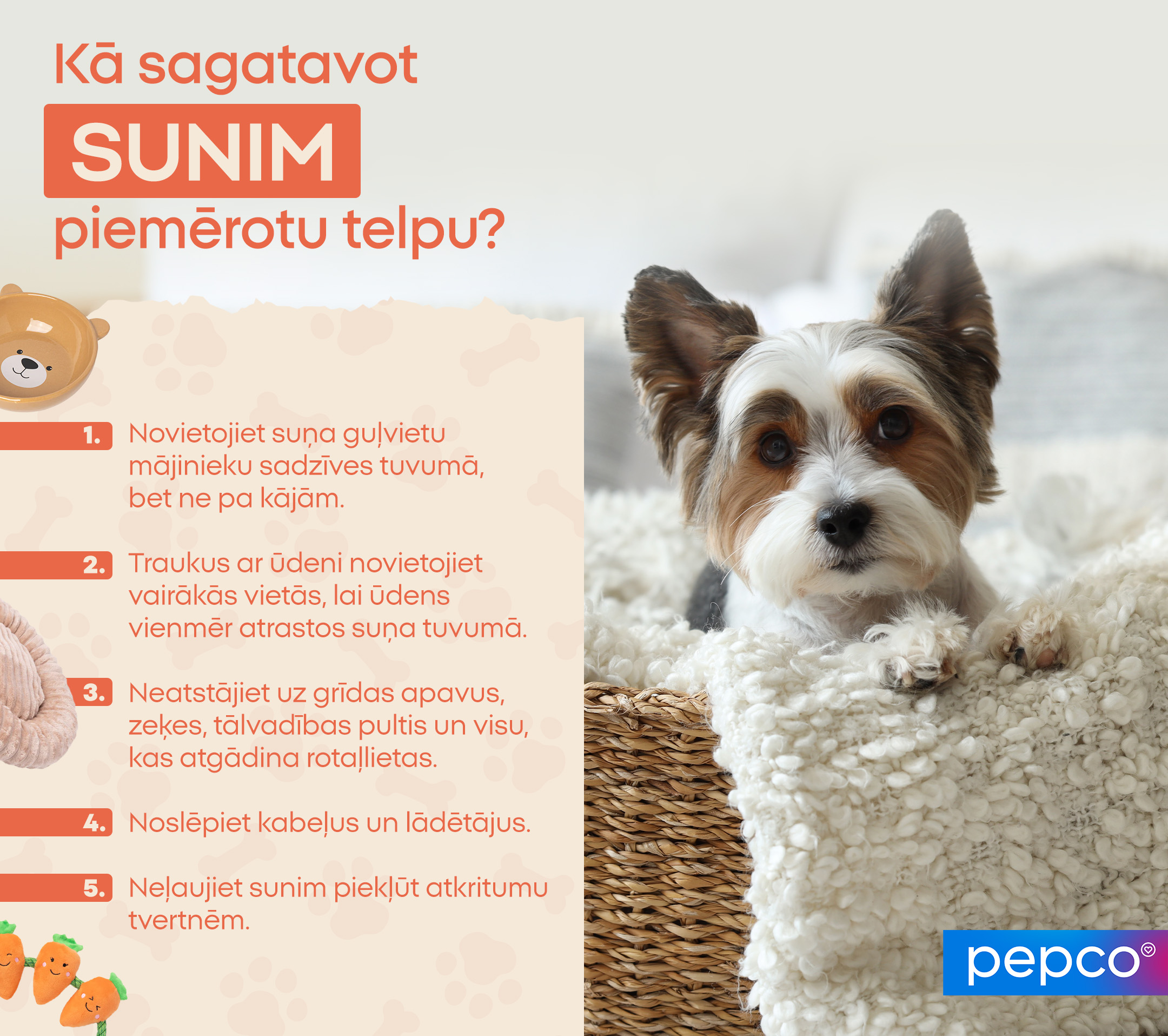 Kā sagatavot sunim piemērotu telpu?